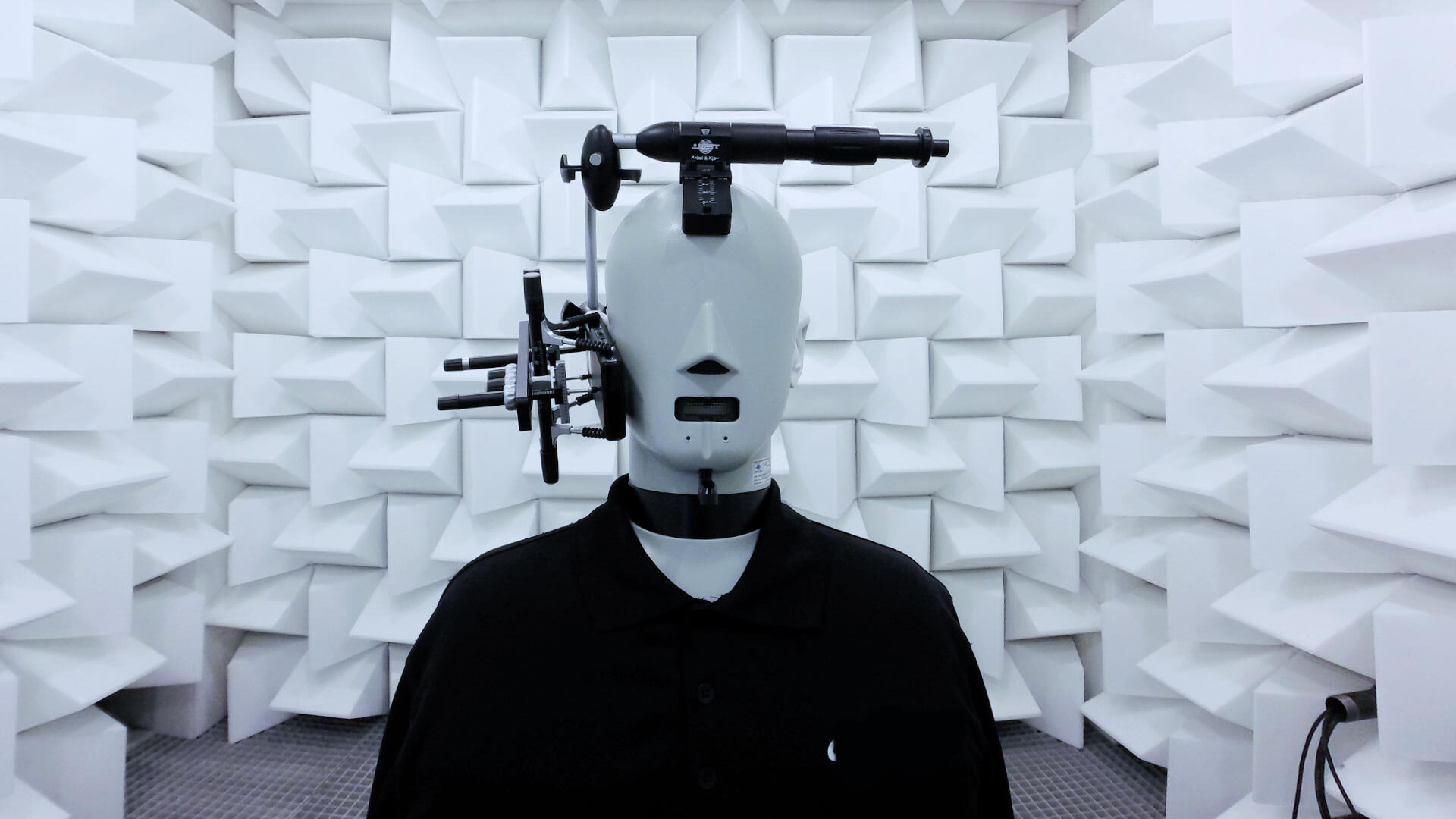 Head and torso simulator (HATS for short), with the help of which audio tests are performed