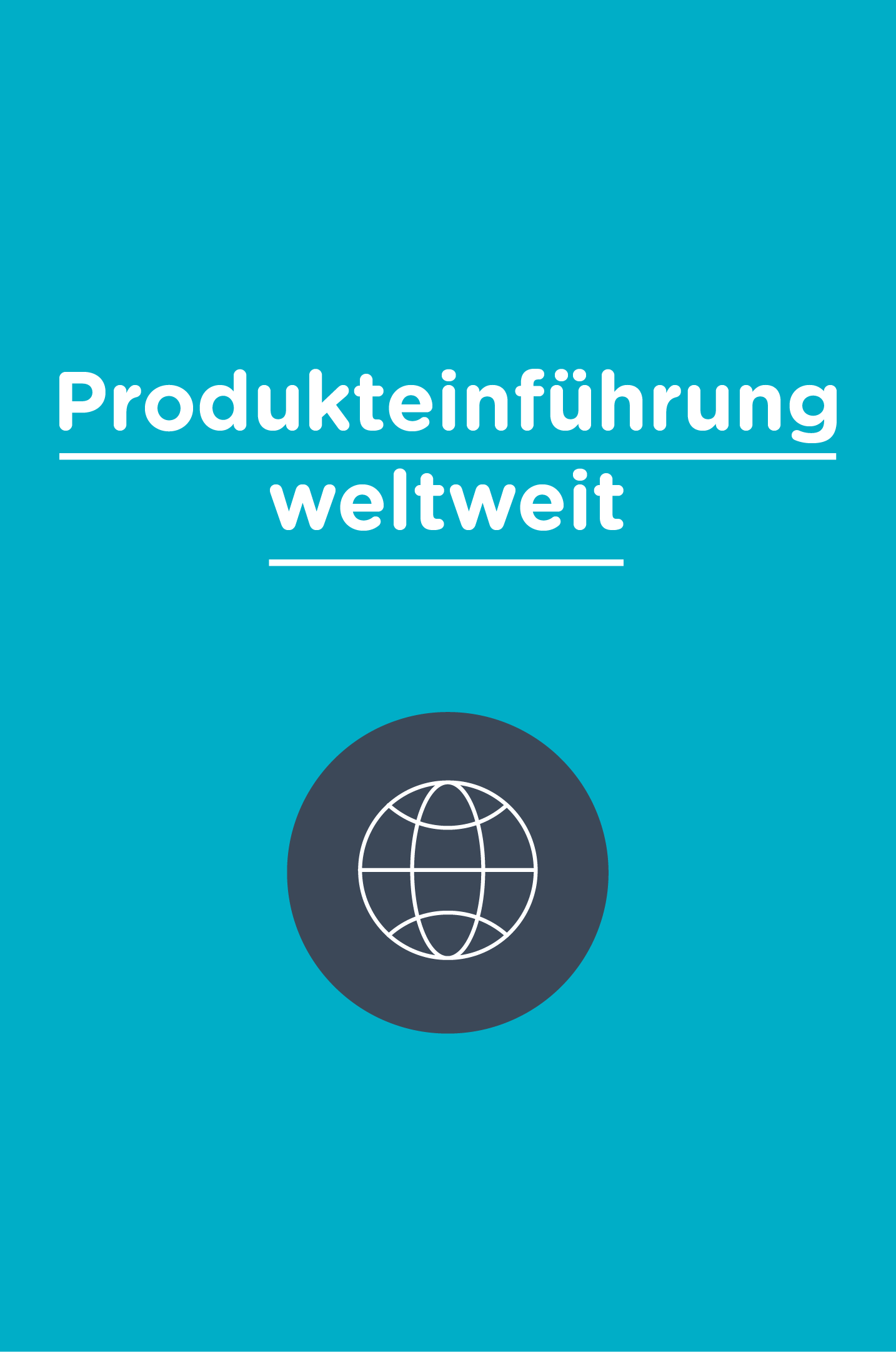 Schritt neun: Produkteinführung weltweit.